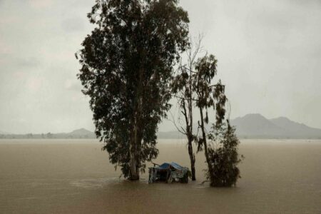 A makeshift house in a rice field is flooded by rainwater during the monsoon season in An Giang province, Vietnam. 10/2024.
Vietnam experiences a tropical monsoon-influenced climate, characterized by high temperatures, 75–90% humidity, and distinct regional rainy/dry seasons. Generally, the southwest monsoon brings, while the northeast monsoon brings cooler, drier weather. Total annual rainfall is high, ranging between 1,500 and 2,500 mm, with regional variations, including mountainous areas seeing more.